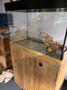 WhatsApp Image 2025-12-28 at 18.18.48 (13)