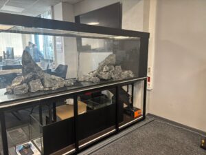 WhatsApp Image 2025-12-28 at 18.18.48 (5)