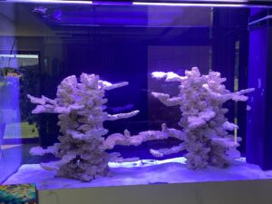 WhatsApp Image 2025-12-28 at 18.18.48 (8)