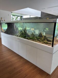 WhatsApp Image 2025-12-28 at 18.35.15